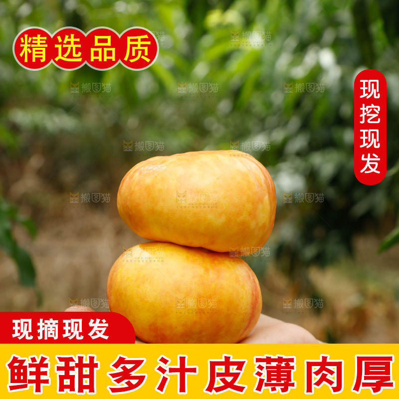 手里拿着黄油蟠桃