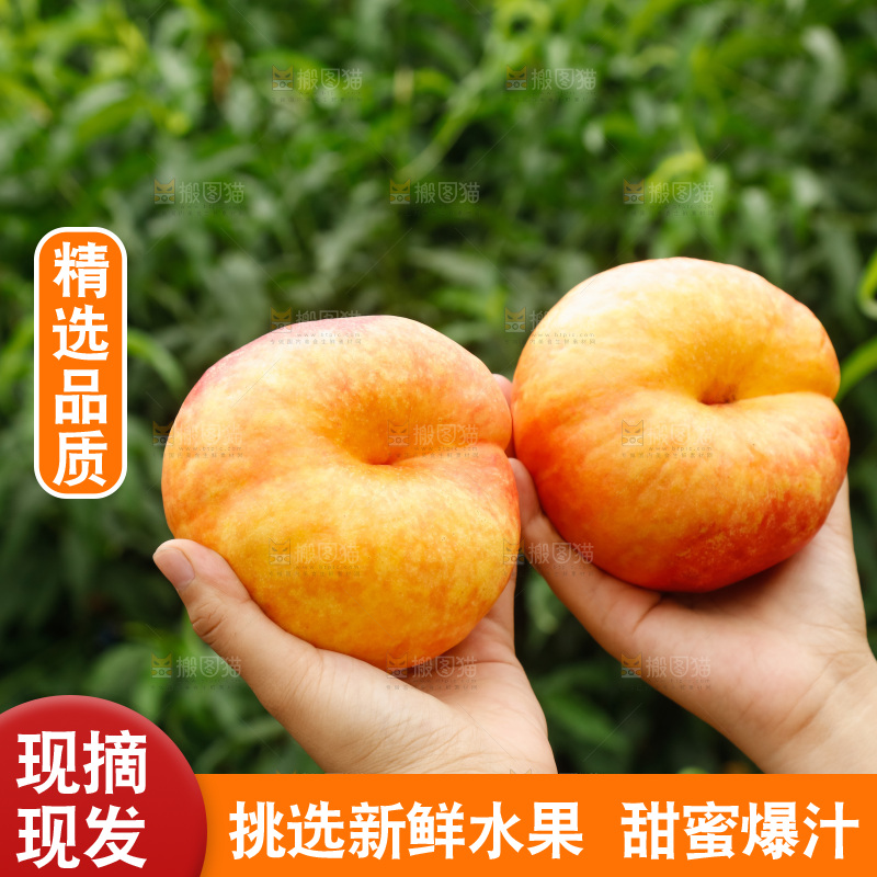 手里拿着黄油蟠桃