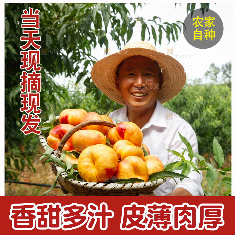 手里拿着黄油蟠桃