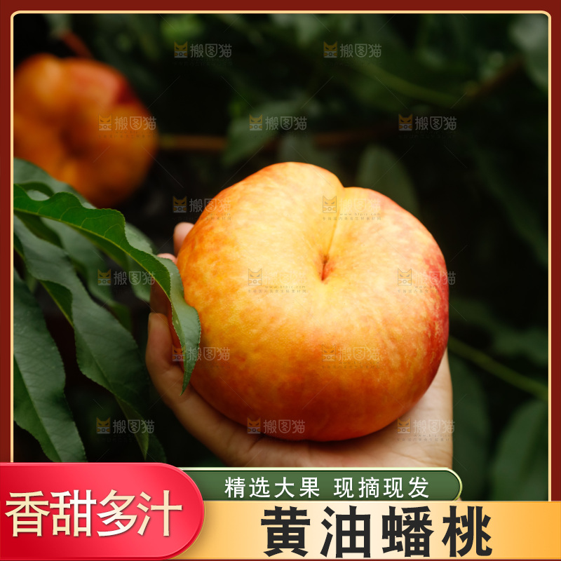 手里拿着黄油蟠桃