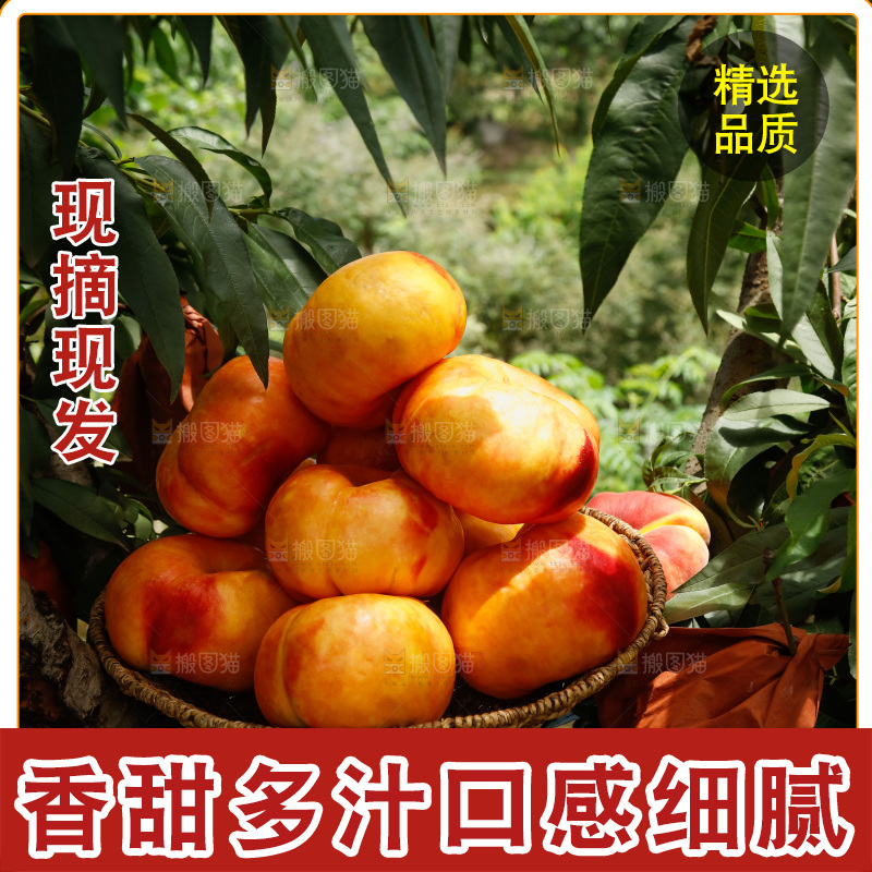 手里拿着黄油蟠桃