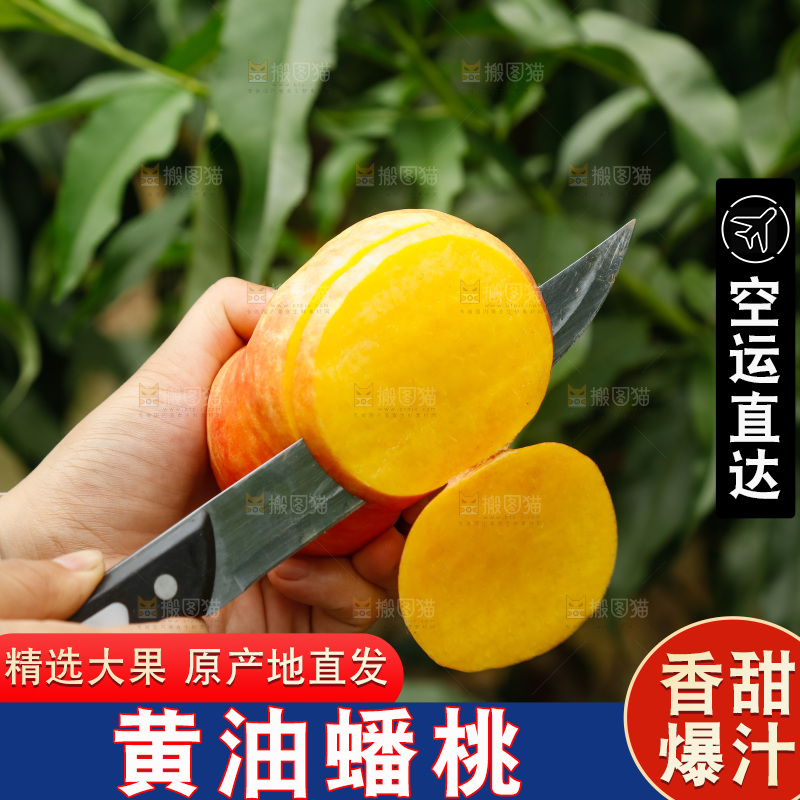手里拿着黄油蟠桃