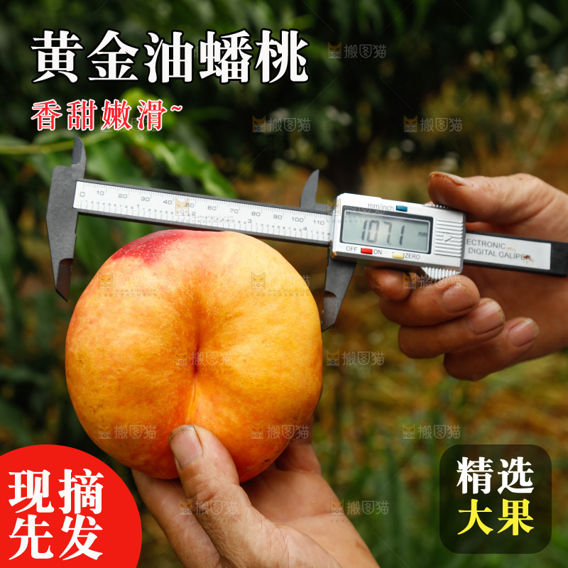 手里拿着黄油蟠桃