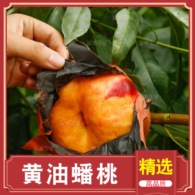手里拿着黄油蟠桃