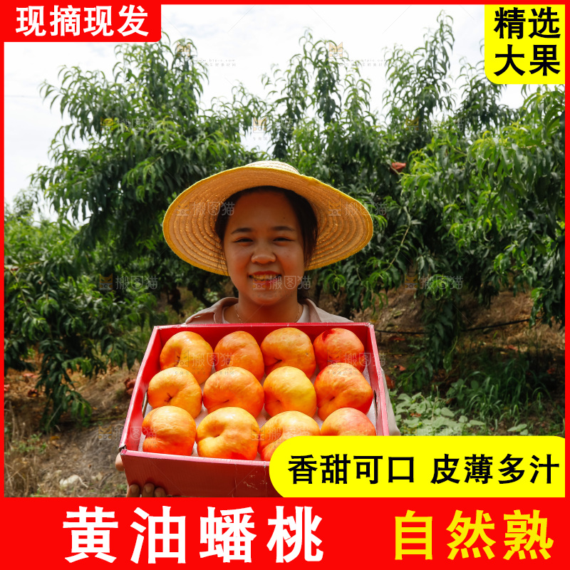 手里拿着黄油蟠桃
