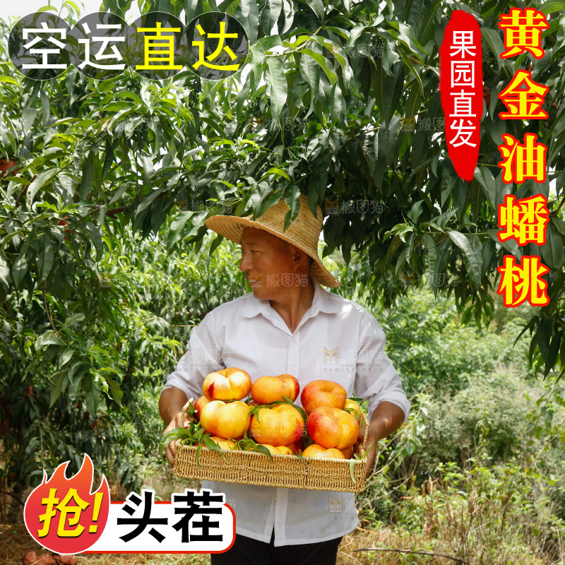 手里拿着黄油蟠桃