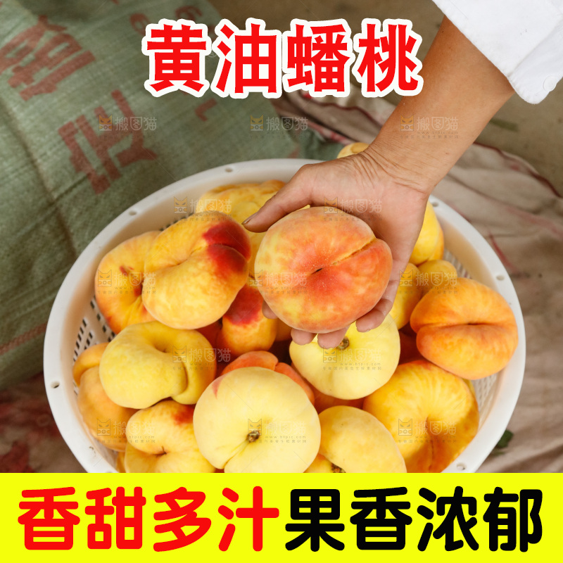 堆放着的黄蟠桃