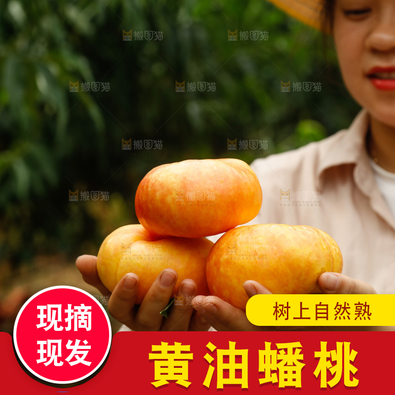 手里拿着黄油蟠桃
