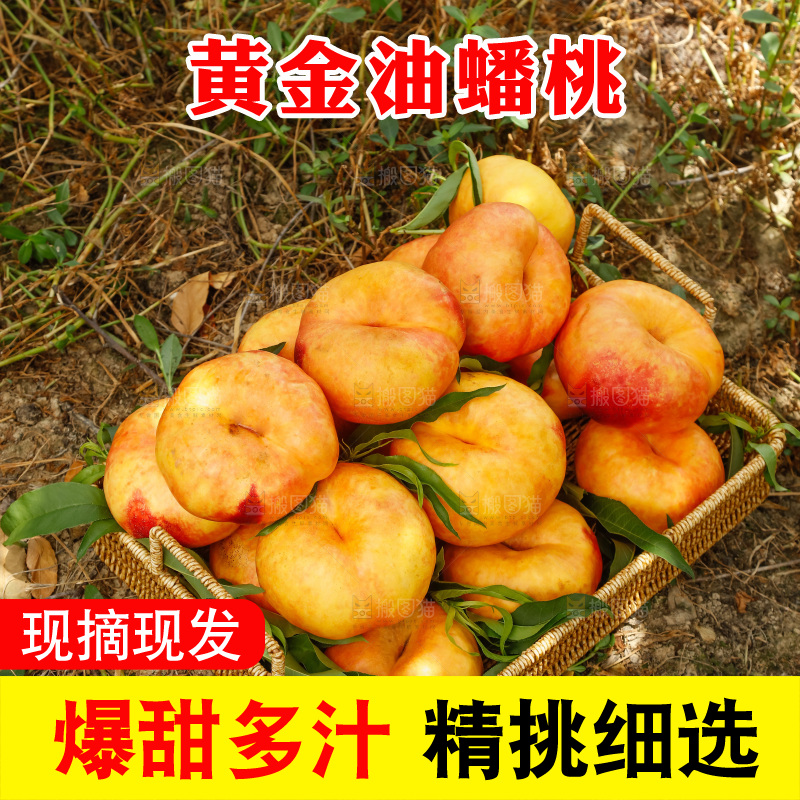 手里拿着黄油蟠桃