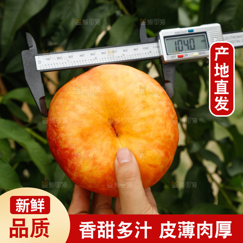 手里拿着黄油蟠桃