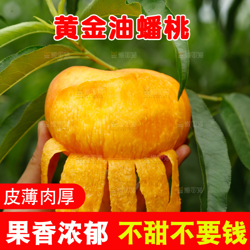手里拿着黄油蟠桃