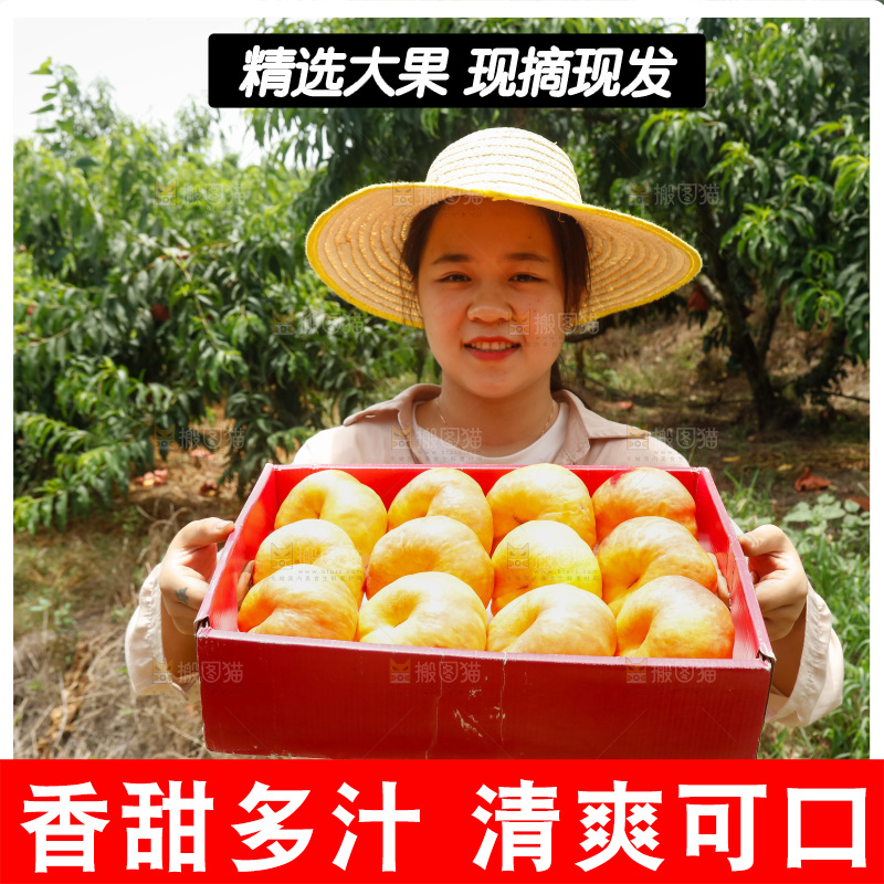手里拿着黄油蟠桃