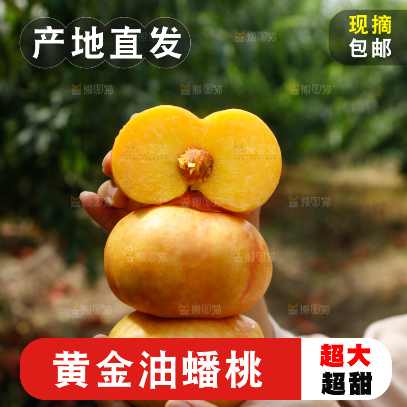 手里拿着黄油蟠桃