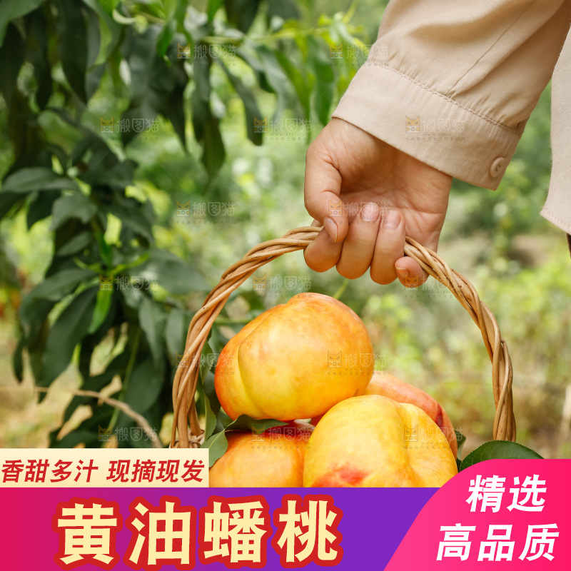 手里拿着黄油蟠桃