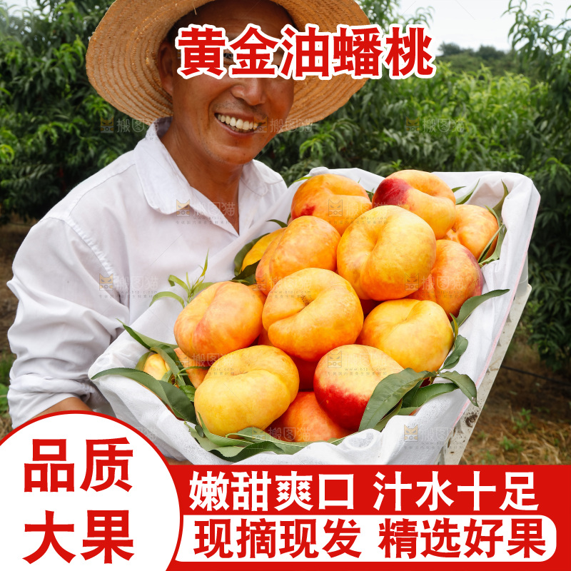 手里拿着黄油蟠桃