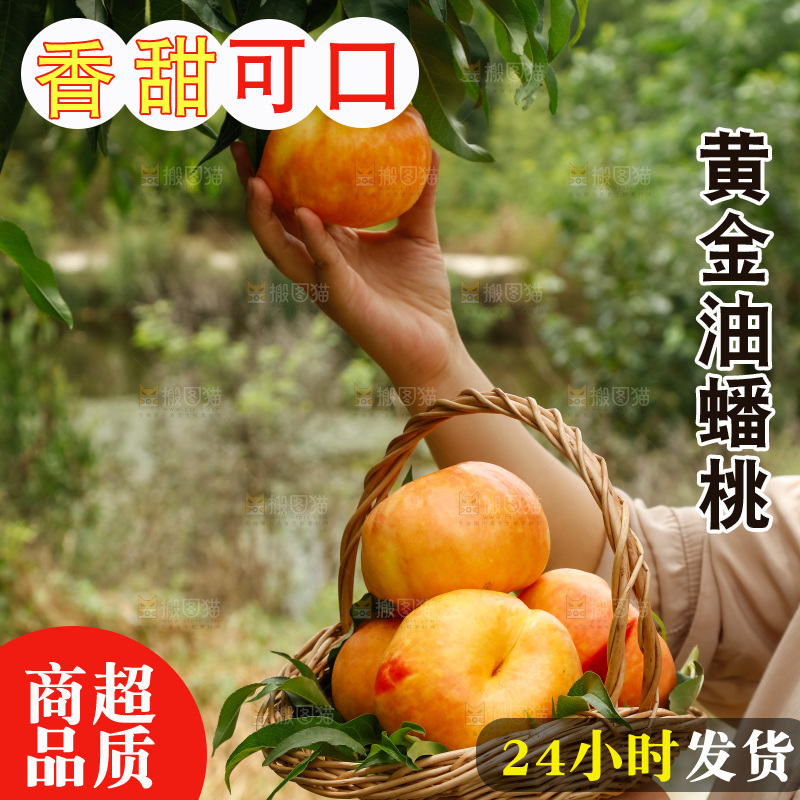 手里拿着黄油蟠桃