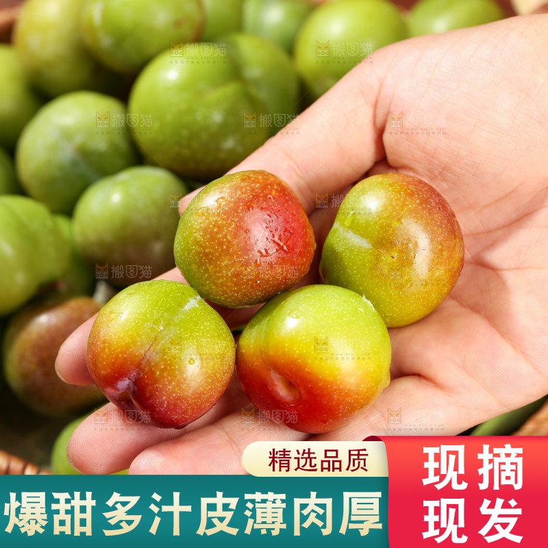 手里拿着半边红李子