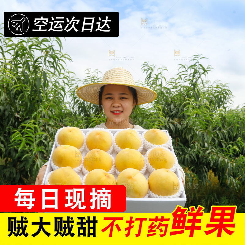手里拿着奉贤锦绣黄桃