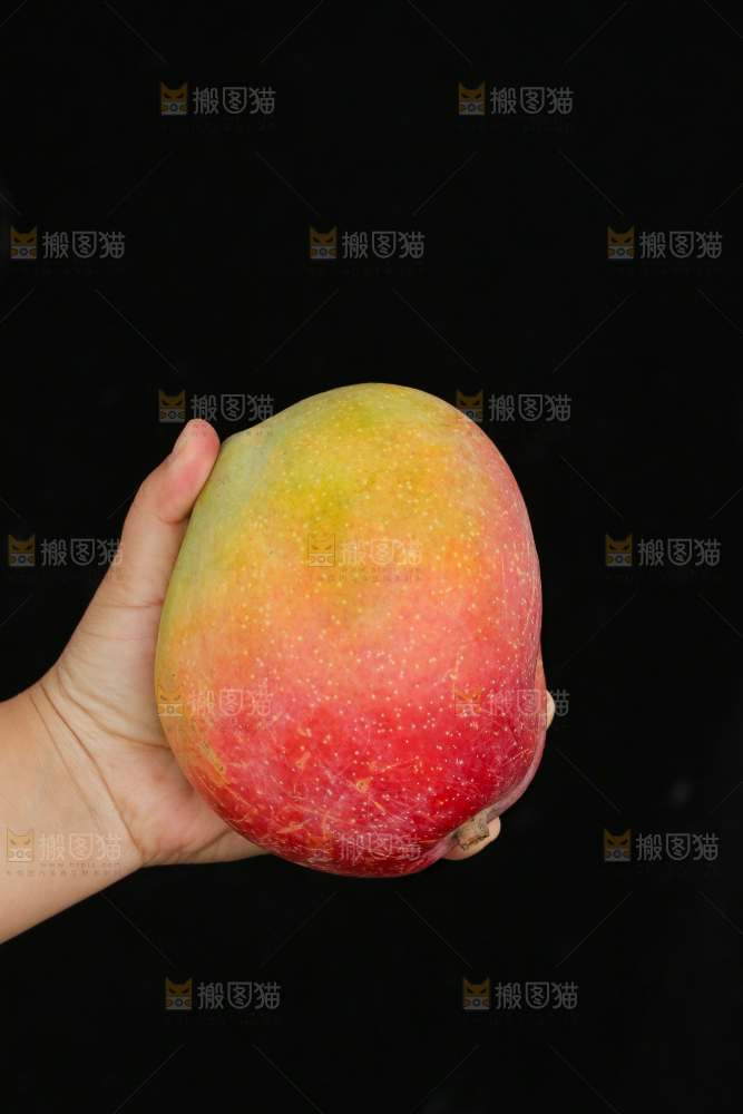 手里拿着彩虹芒
