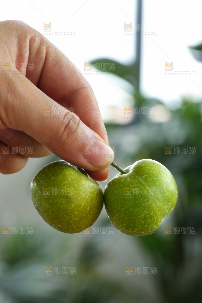 手里拿着半边红李子