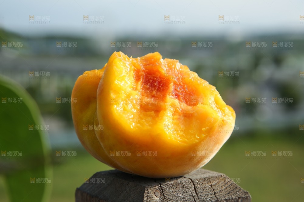 手里拿着锦绣黄桃