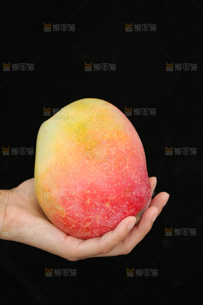 手里拿着彩虹芒