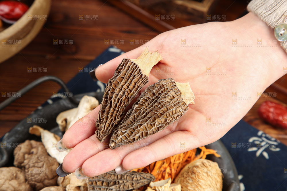 木底上的七彩菌菇