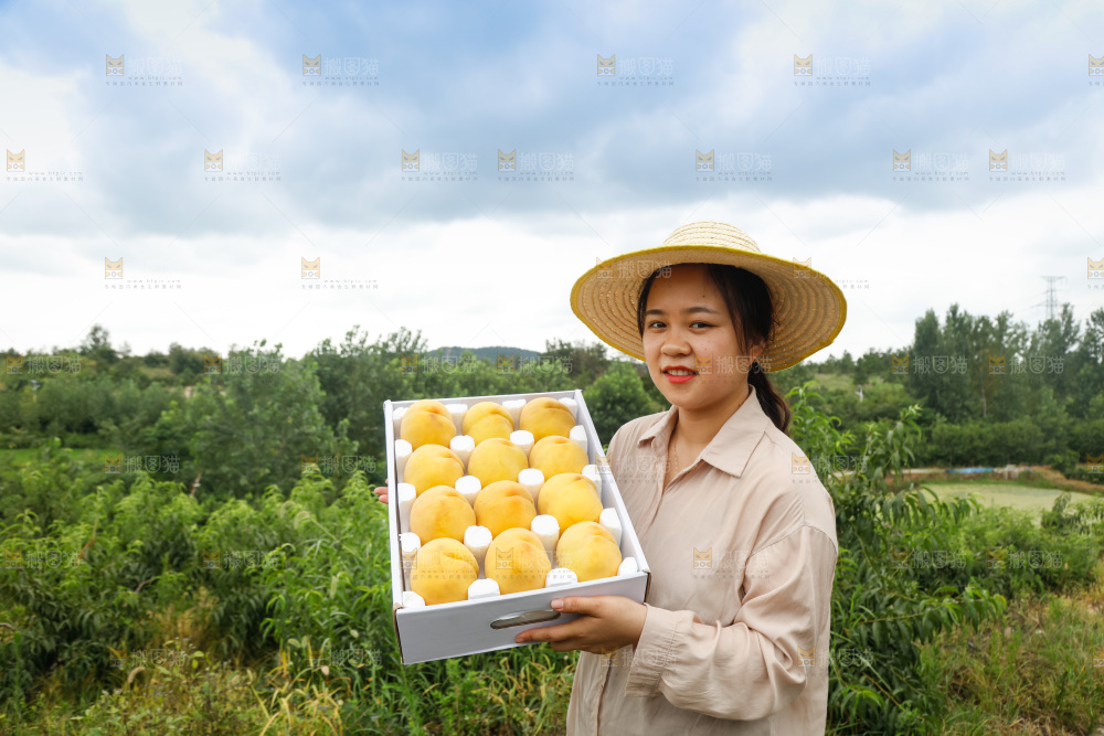 手里拿着奉贤锦绣黄桃