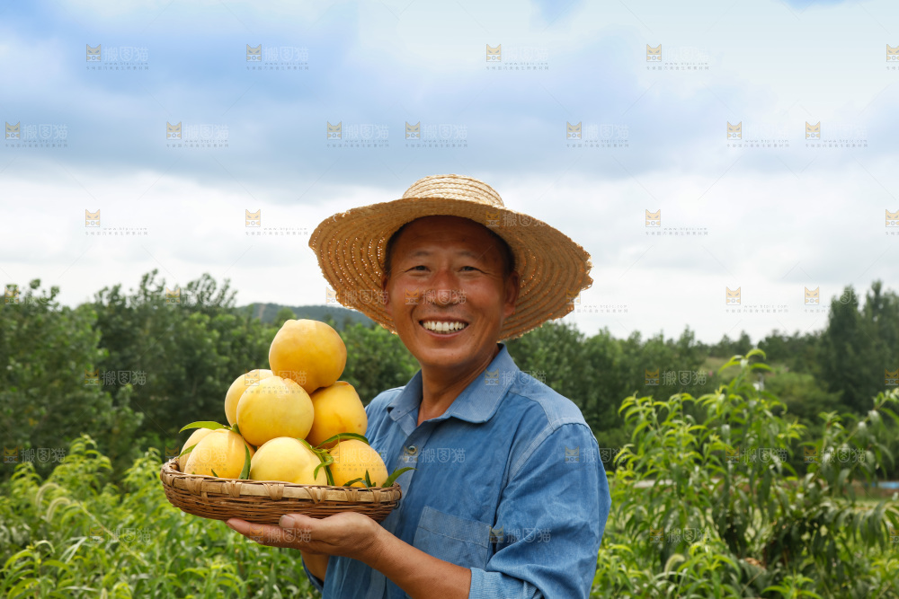 手里拿着奉贤锦绣黄桃