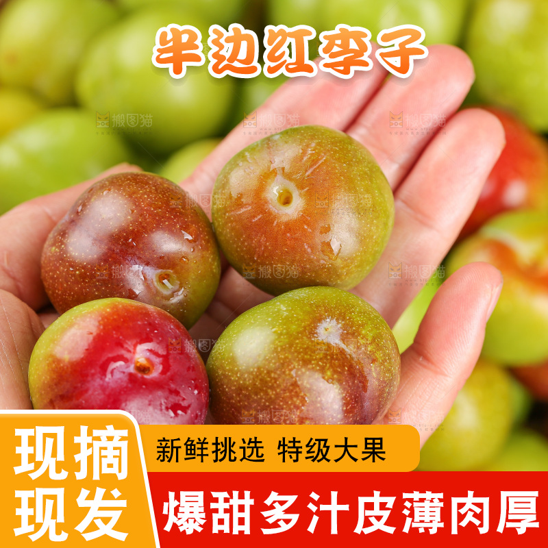 深底上的半边红脱骨李