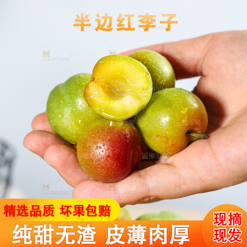 浅底上的半边红李子