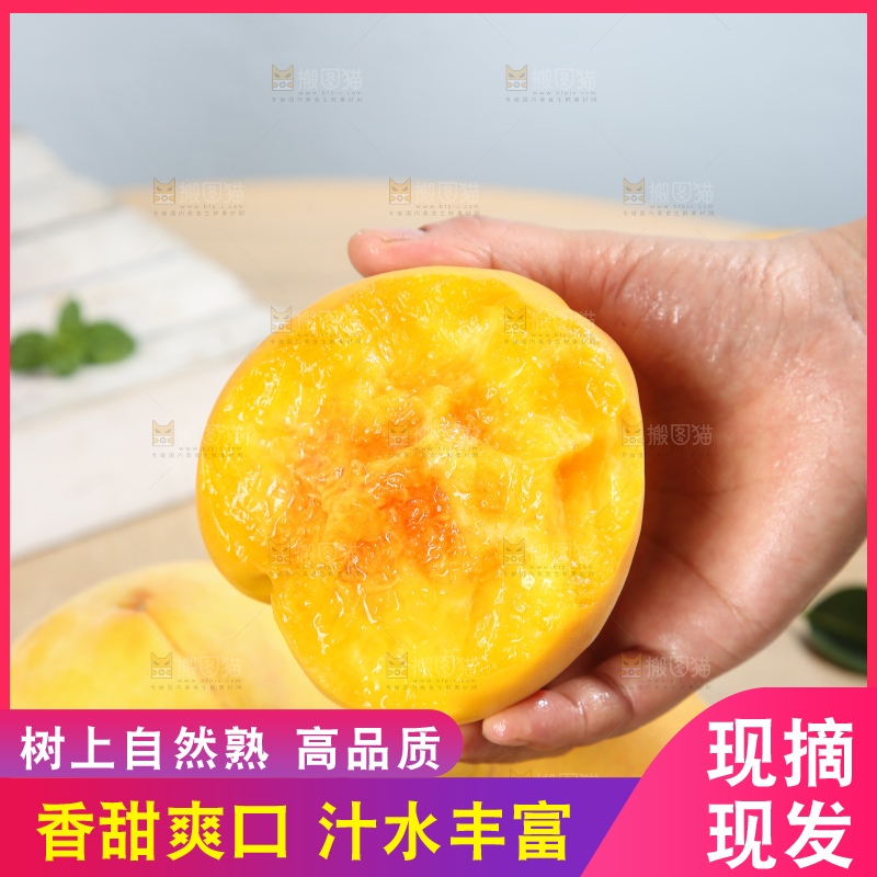 浅底上的奉贤黄桃