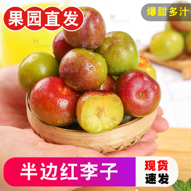浅底上的茵红李