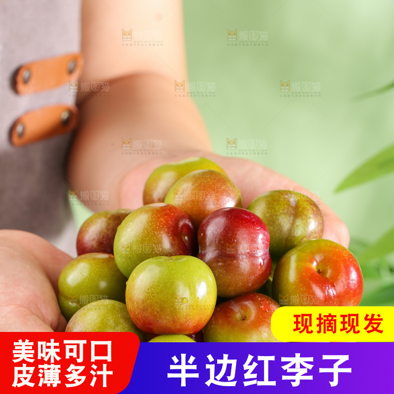 浅底上的茵红李
