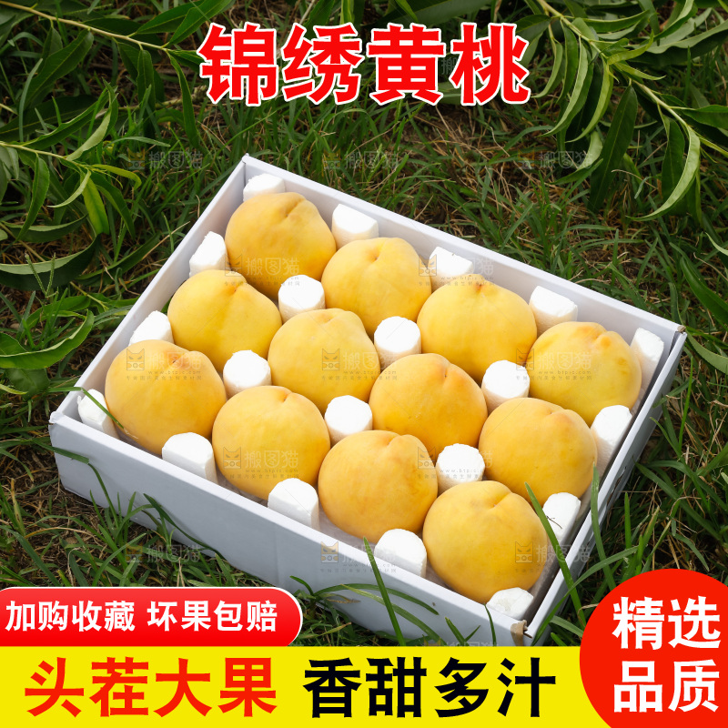 手里拿着奉贤锦绣黄桃