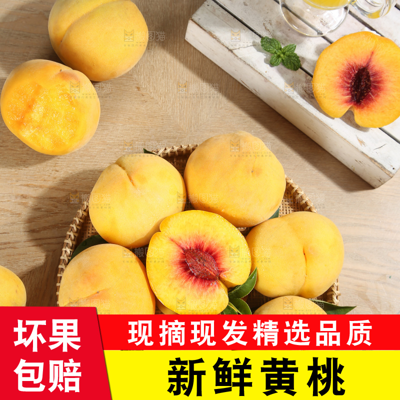 浅底上的奉贤黄桃