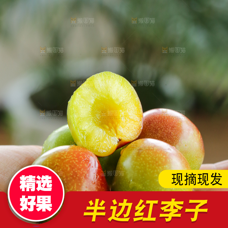 手里拿着半边红李子