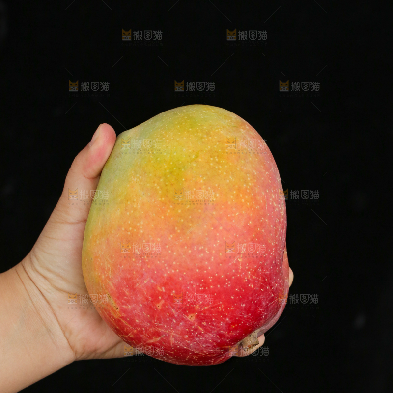 手里拿着彩虹芒