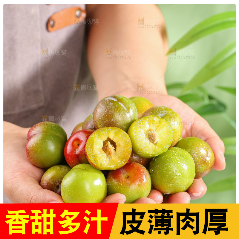 浅底上的茵红李