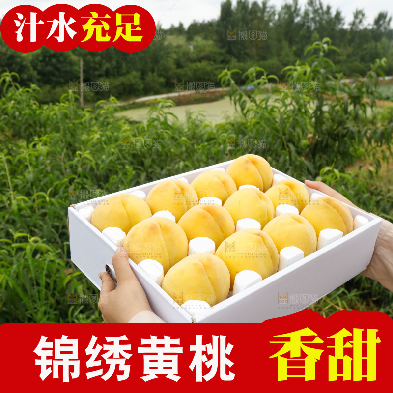 手里拿着奉贤锦绣黄桃