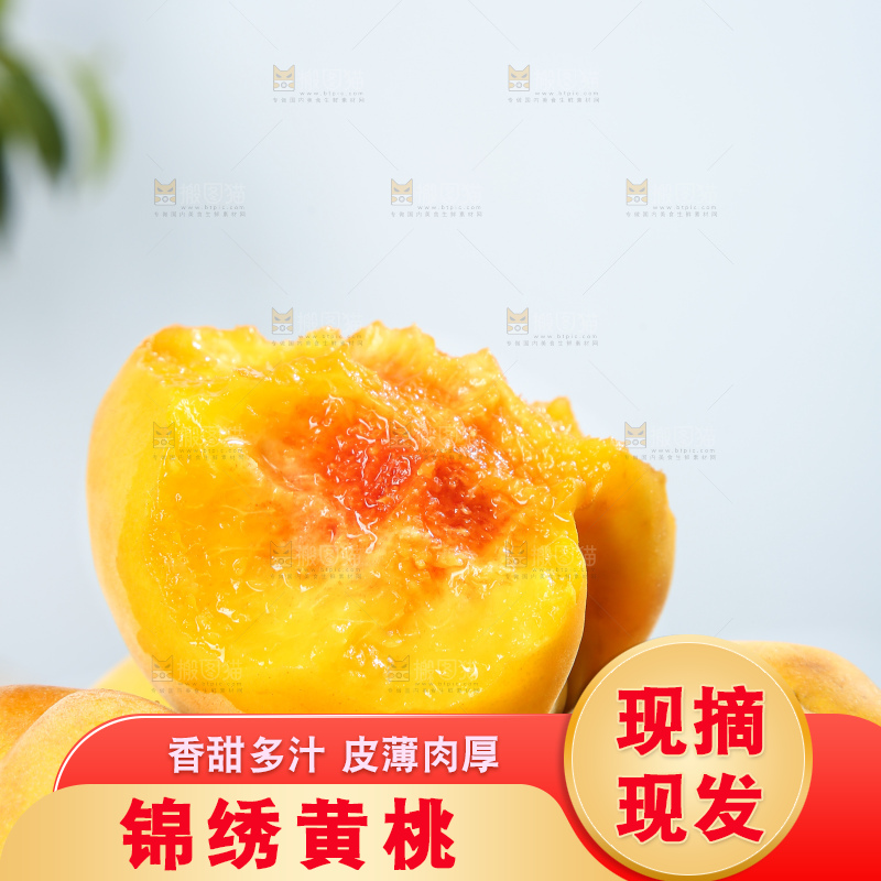 浅底上的奉贤黄桃