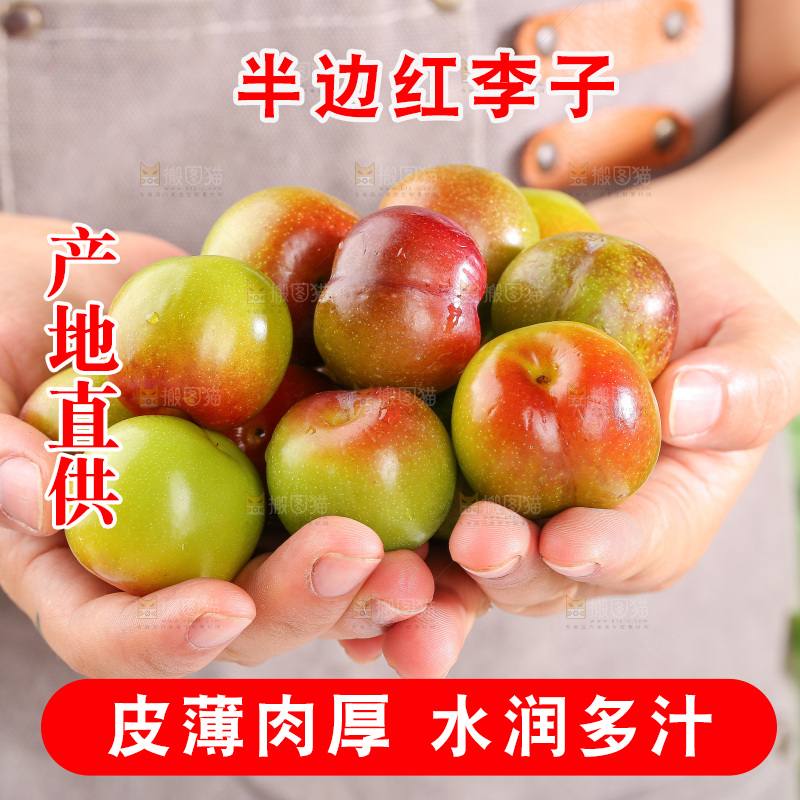 浅底上的茵红李