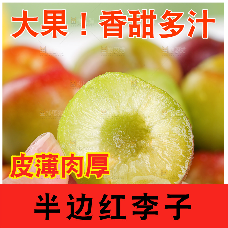 浅底上的茵红李