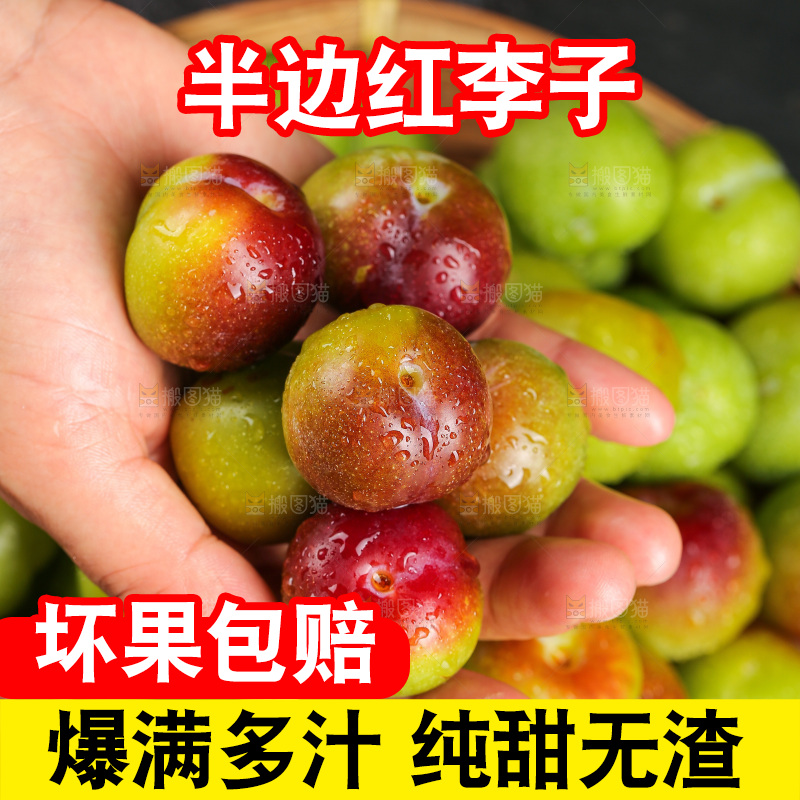 深底上的半边红脱骨李