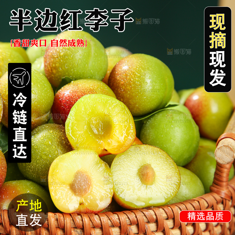 木底上的茵红脱骨李