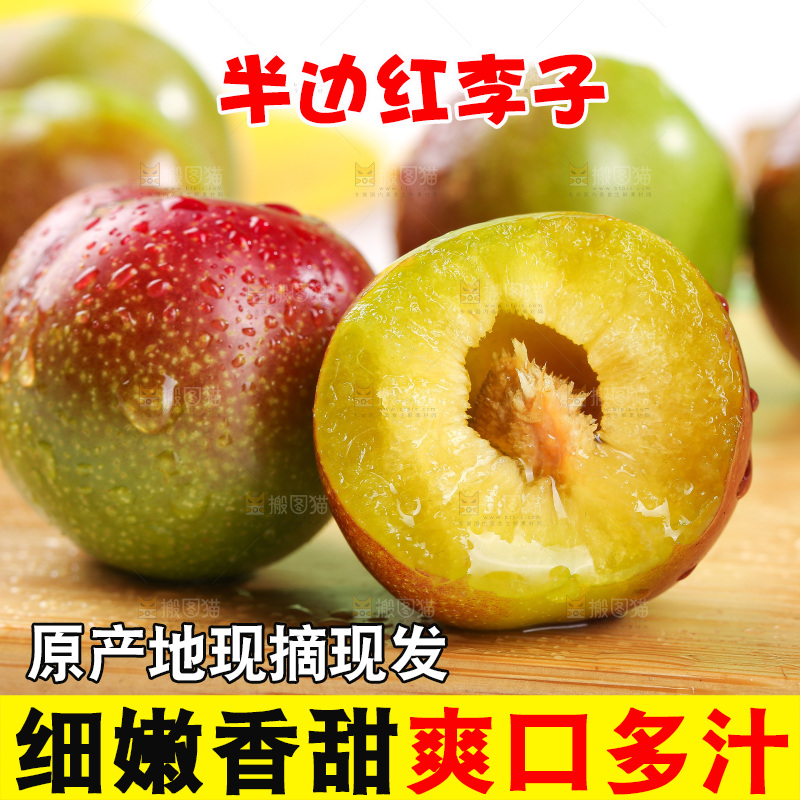 浅底上的茵红李