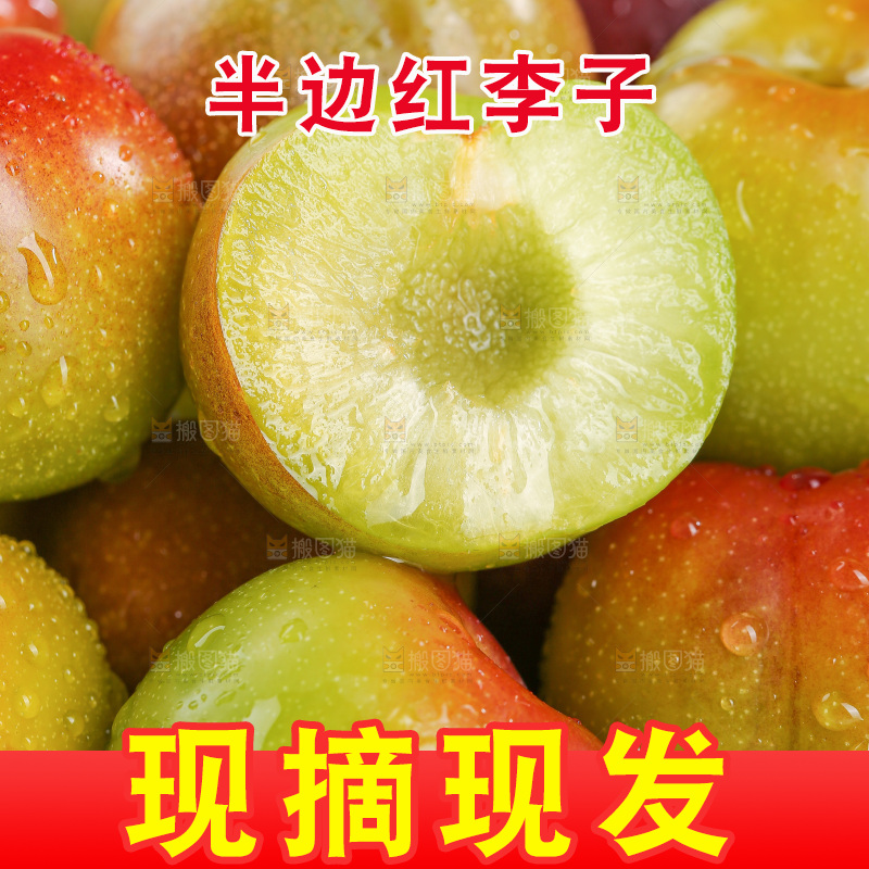 浅底上的茵红李
