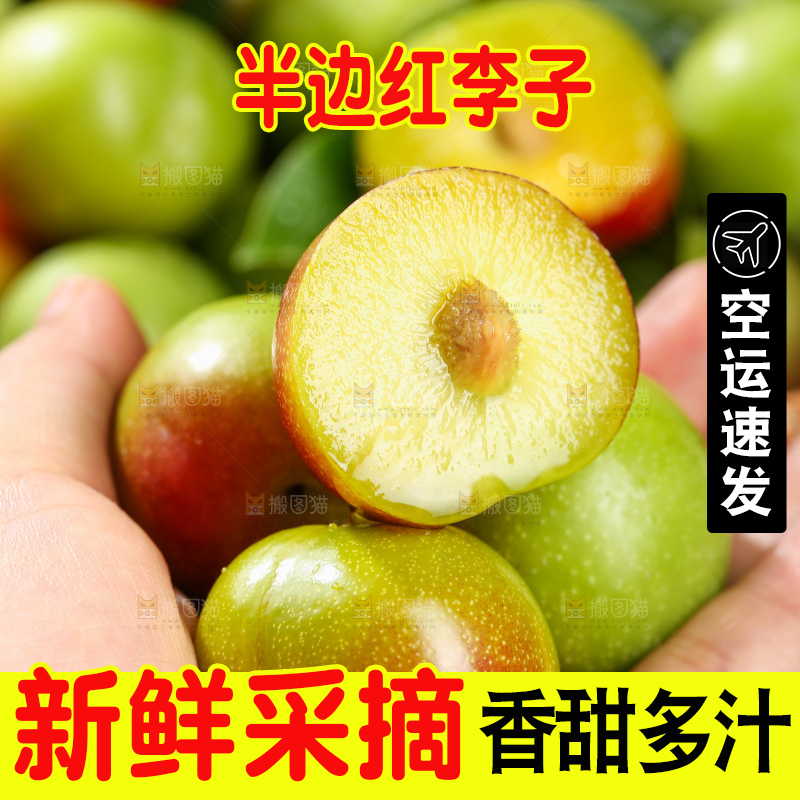 木底上的茵红脱骨李