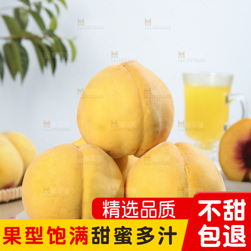 浅底上的奉贤黄桃