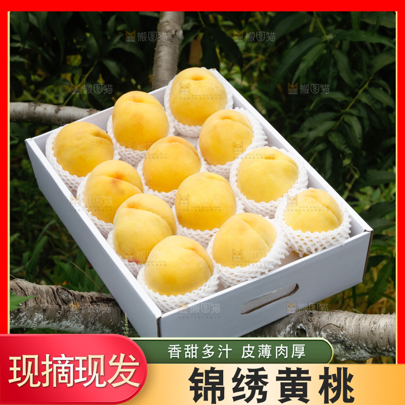手里拿着奉贤锦绣黄桃